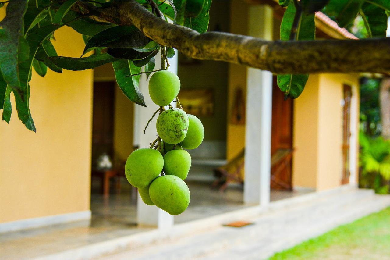 Kadolana Eco Village Balapitiya Esterno foto